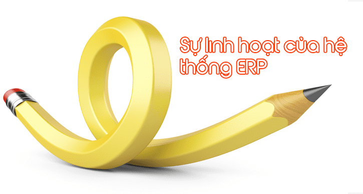 su linh hoat cua he thong erp