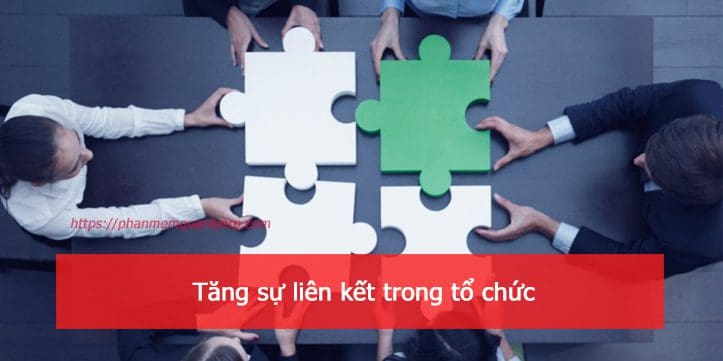 tang su lien ket trong to chuc