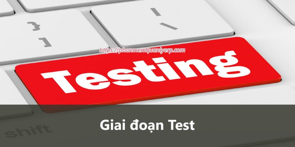 giai doan test